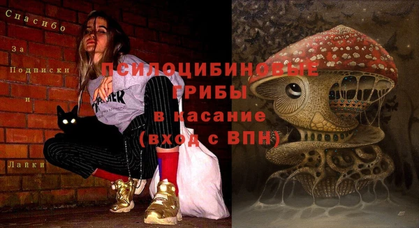 круглые Переславль-Залесский
