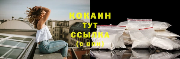 эйфоретик Пересвет