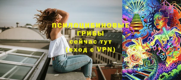 эйфоретик Пересвет