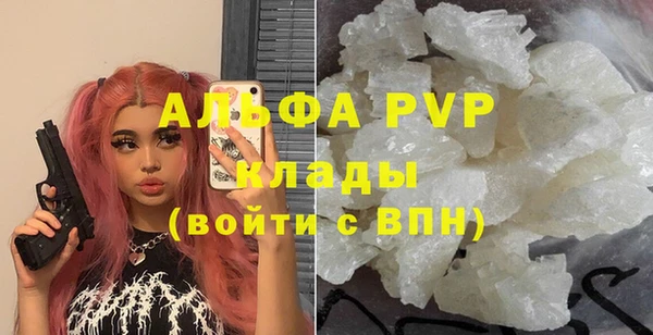 дживик Няндома