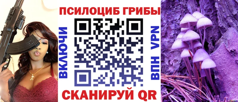 что такое Алагир Галлюциногенные грибы Cubensis